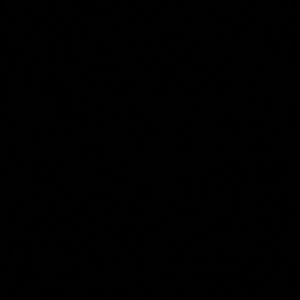 Meet your Posher, Bolatito